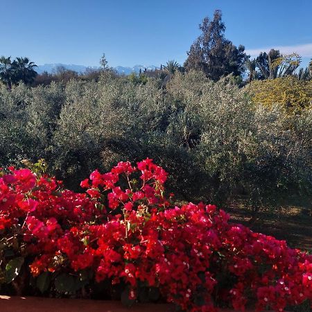 Manzal Lahbab Bed & Breakfast Marrakesh Exterior foto