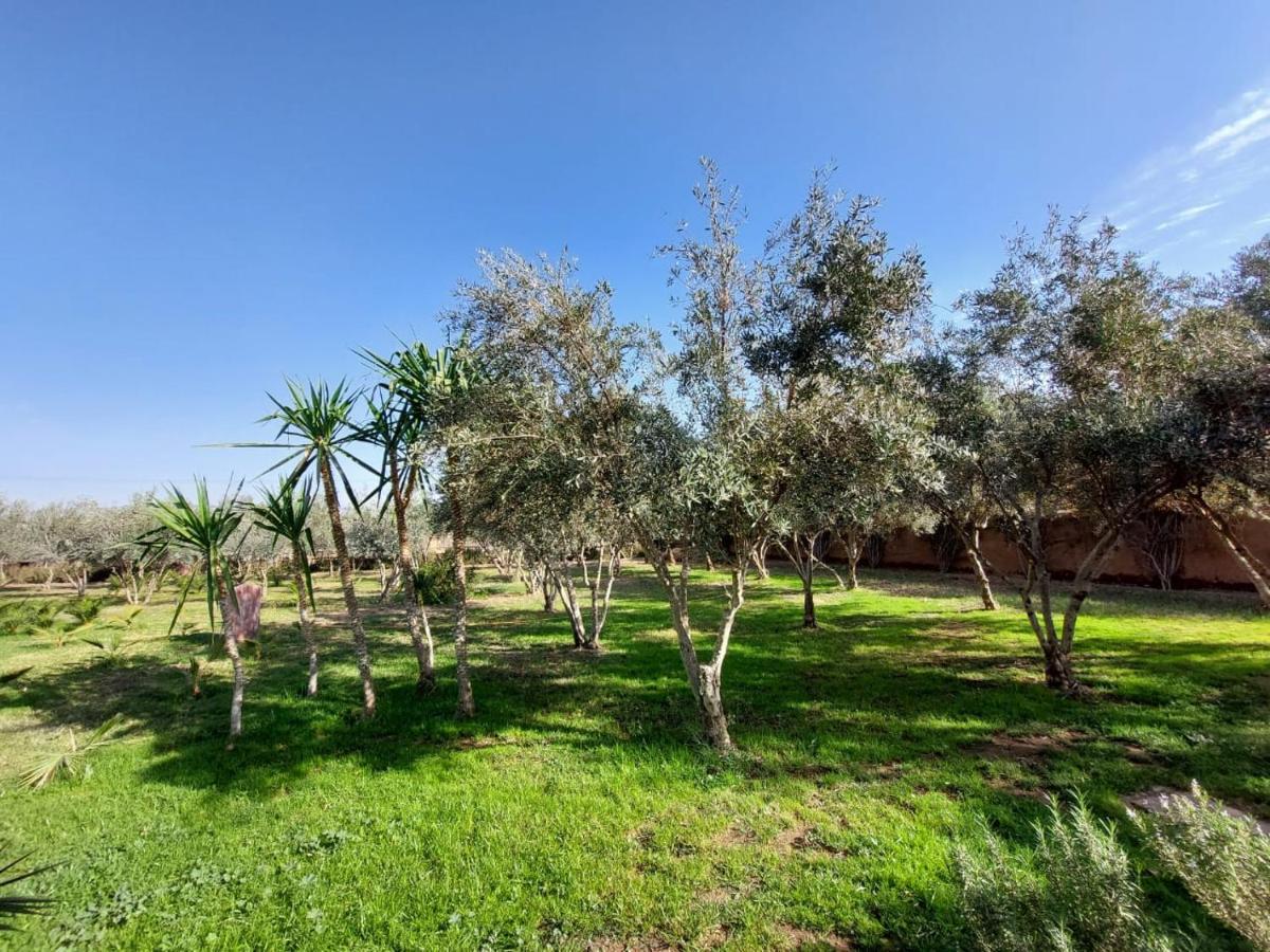 Manzal Lahbab Bed & Breakfast Marrakesh Exterior foto