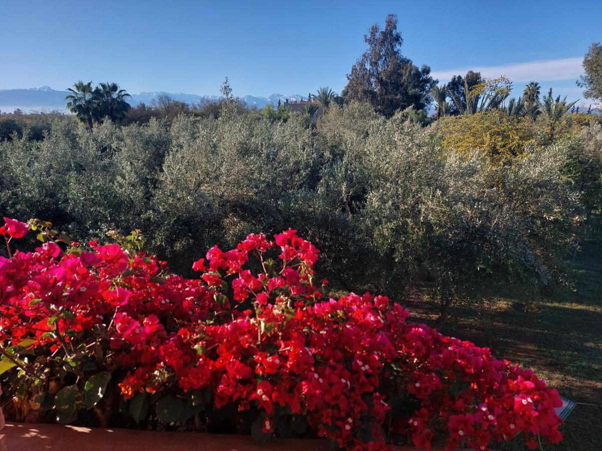 Manzal Lahbab Bed & Breakfast Marrakesh Exterior foto